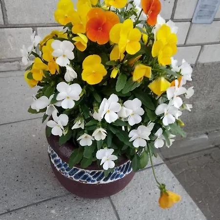 Kotka Housing-freeparking