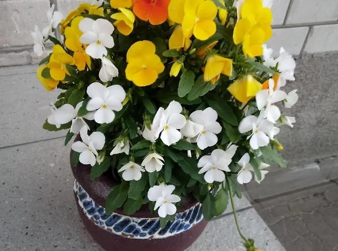 Kotka Housing-freeparking